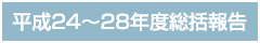 平成24～28年度総括報告